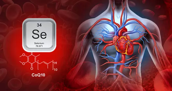 You are currently viewing Higher Dietary Selenium Intake Linked to Reduced Cardiovascular Disease Risk: Study