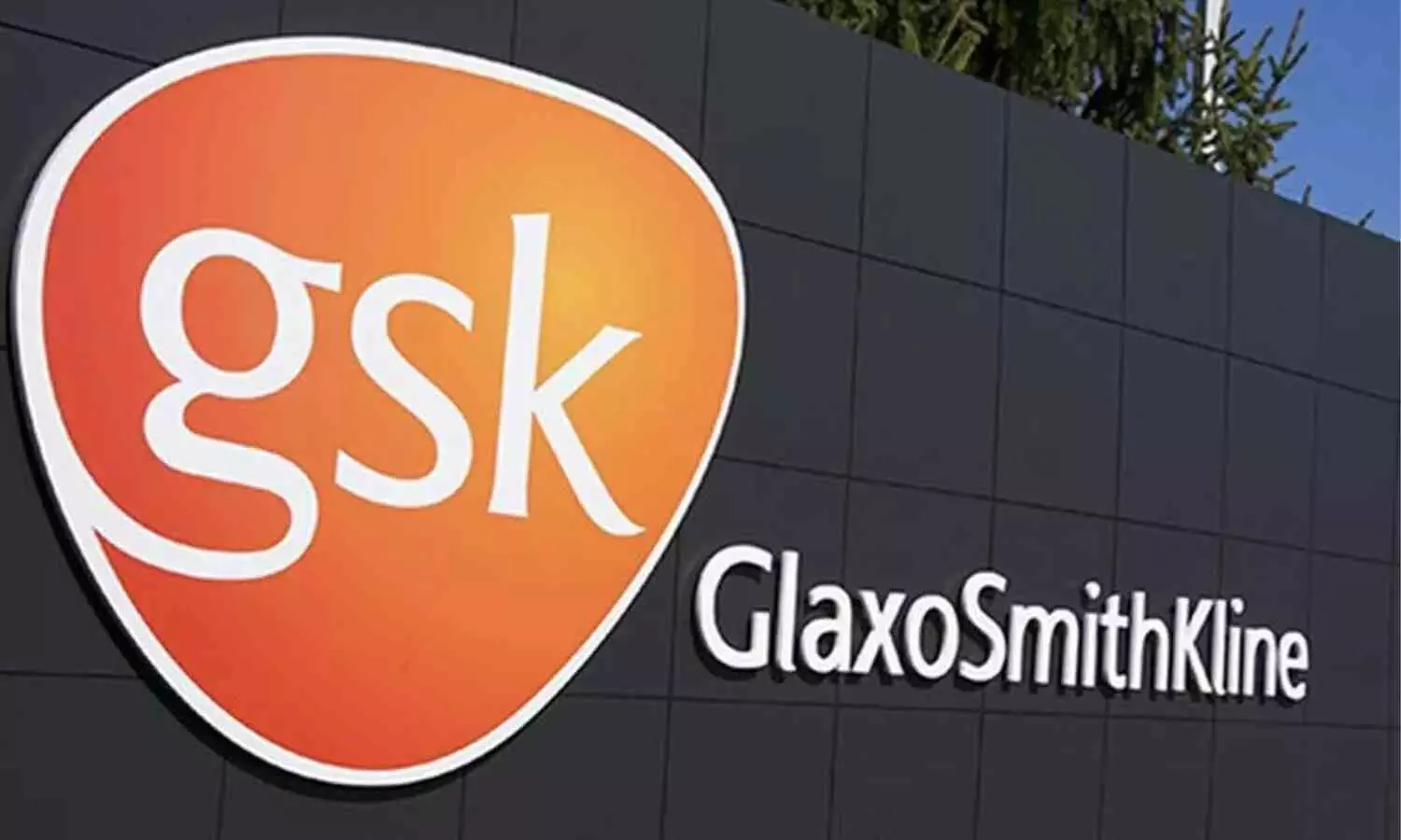 Read more about the article GSK application for expanded use of RSV vaccine in adults aged 18-49 accepted in Japan