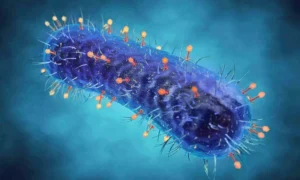 Read more about the article Personalized Inhaled Bacteriophage Therapy Shows Promise for Cystic Fibrosis: Study