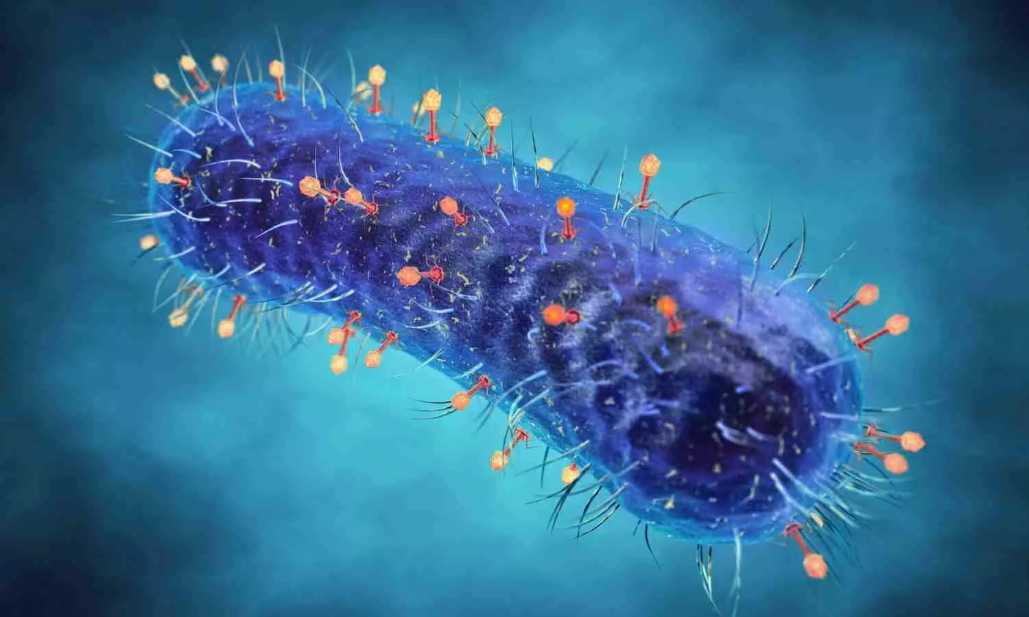 Read more about the article Personalized Inhaled Bacteriophage Therapy Shows Promise for Cystic Fibrosis: Study