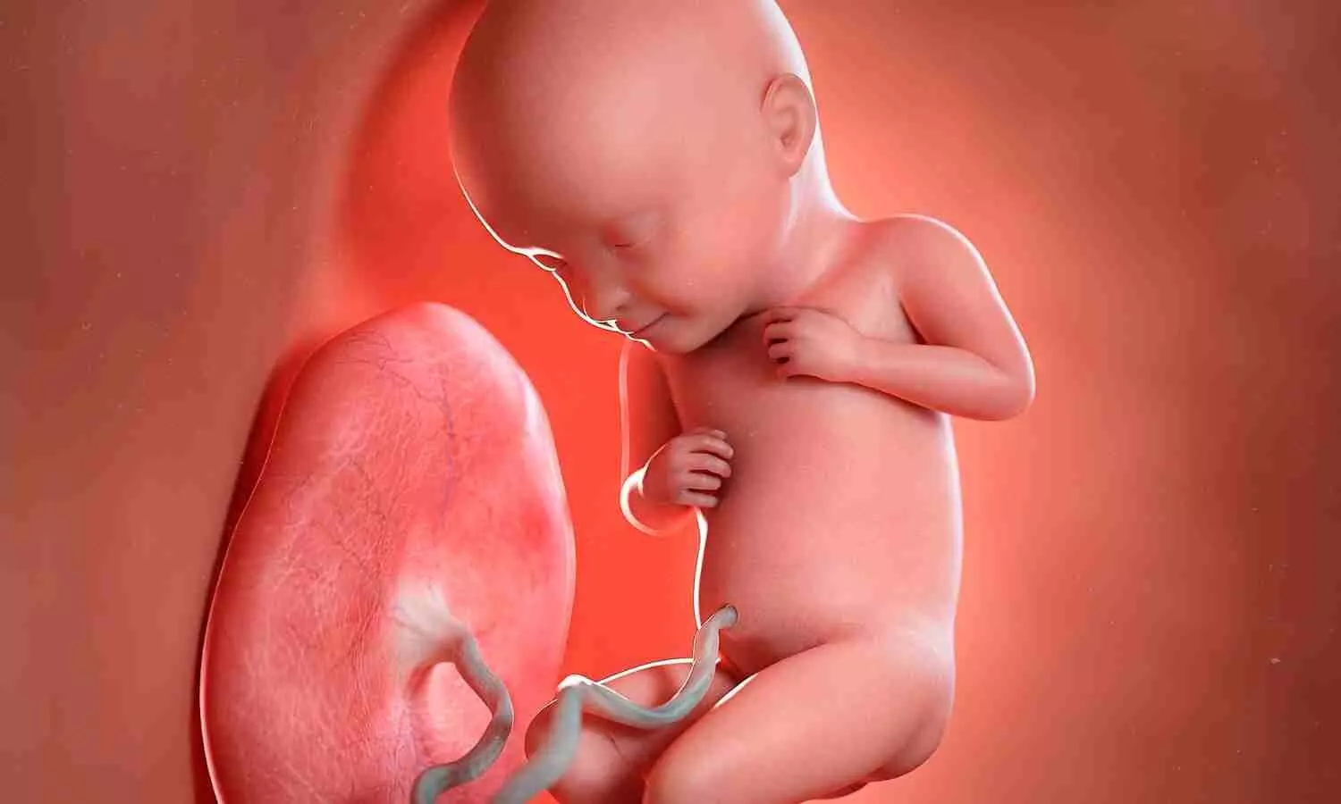 Read more about the article Decoding Doppler: How Fetal Heart Monitoring Shapes Perinatal Health?