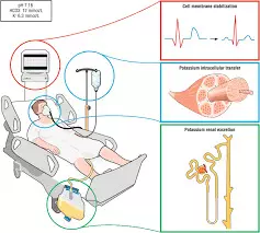Read more about the article Intermittent sodium zirconium cyclosilicate Treatment May Prevent Hyperkalemia in CKD Patients: Study