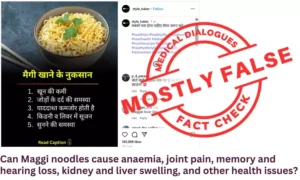 Read more about the article Fact Check: Can Maggi noodles cause anemia, joint pain, memory and hearing loss, kidney and liver swelling, and other health issues?