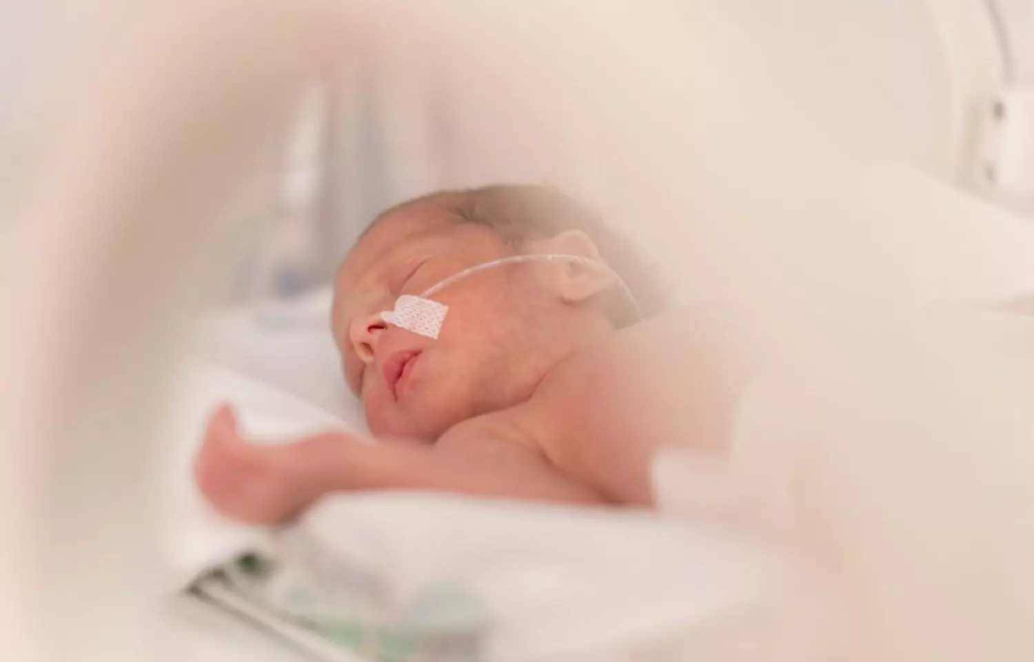 Redefining Preterm Birth Prediction: Study Discovering the Power of Small RNAs