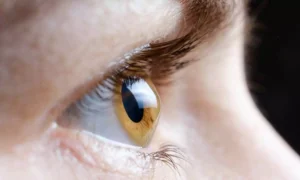 Read more about the article Evidence gaps remain for AI eye imaging devices approved for patient care