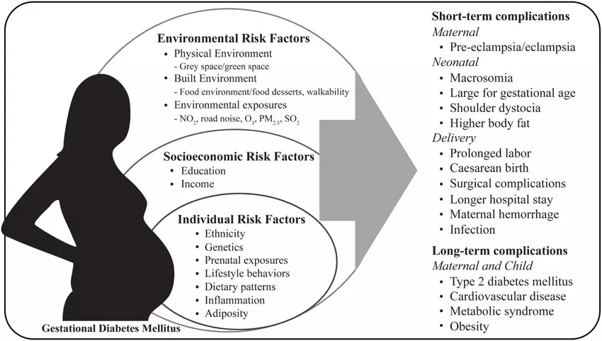 You are currently viewing Low FT4 Levels Linked to Higher Gestational Diabetes Risk: Study