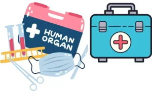 Read more about the article Telangana to expand organ transplant services at Govt Hospitals