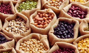 Read more about the article Eating More Legumes and Cutting Red/Processed Meat Boosts Men’s Health, reveals study