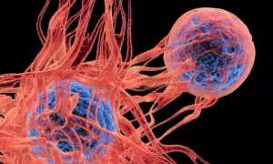 Read more about the article Scientists create LED light that kills cancer cells without harming healthy ones