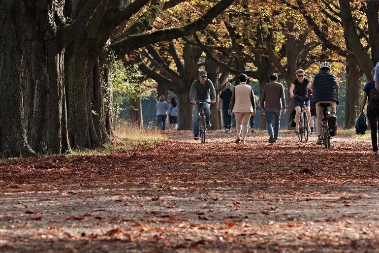 Read more about the article Greener Environments Linked to Healthier BMI in Children: JAMA