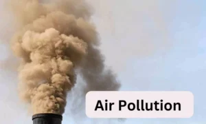 Read more about the article Air pollution can contribute to obesity and diabetes,  suggests study