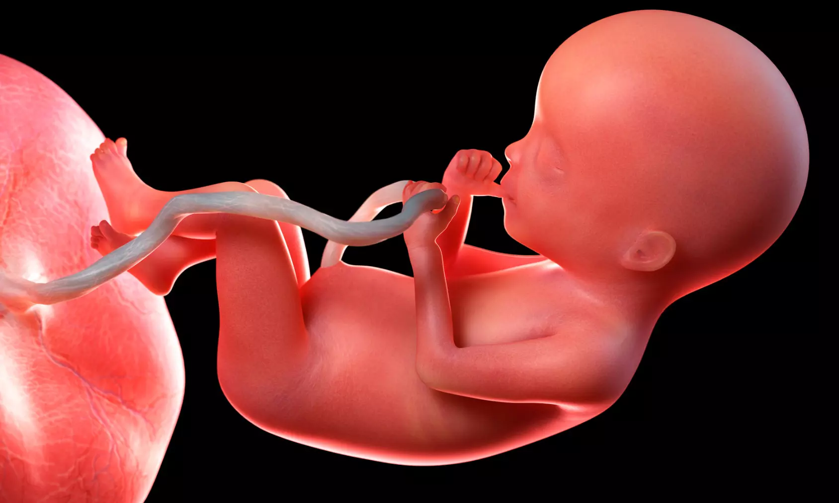 You are currently viewing Elevated Placental Resistance Linked to Childhood Growth Issues: JAMA