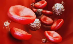 Read more about the article A breath test could help us detect blood cancers, reveals study