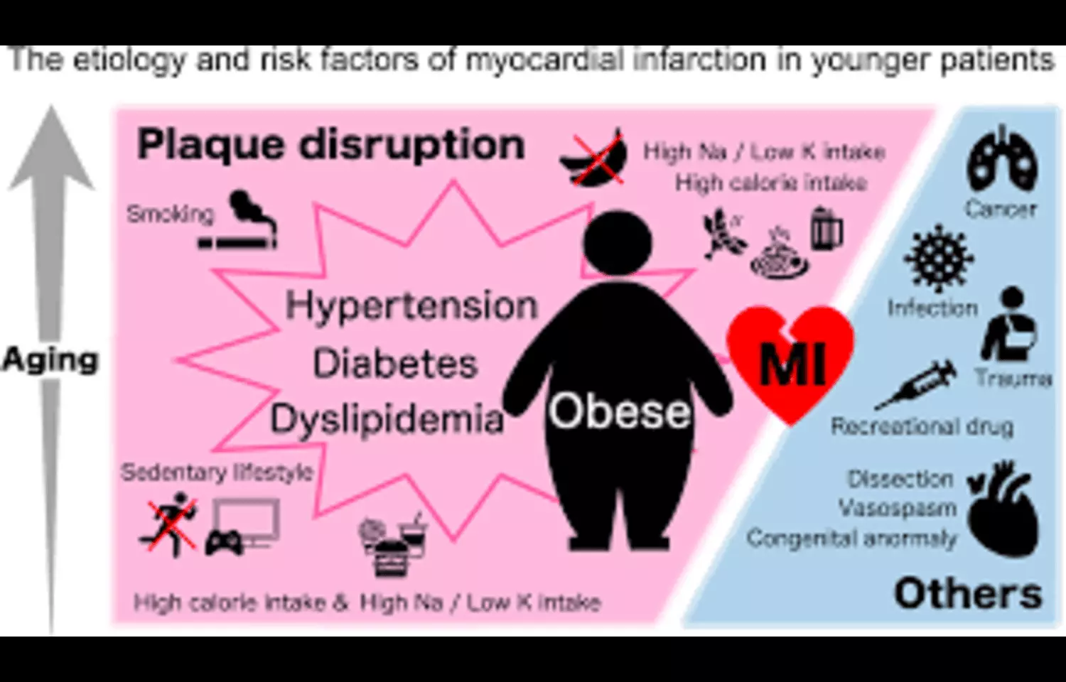 You are currently viewing Abnormal Free Fatty Acids Amplify Long-Term Cardiovascular Risk in Premature MI: Study
