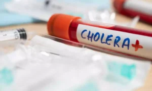 Read more about the article A high-protein diet can defeat cholera infection, claims research
