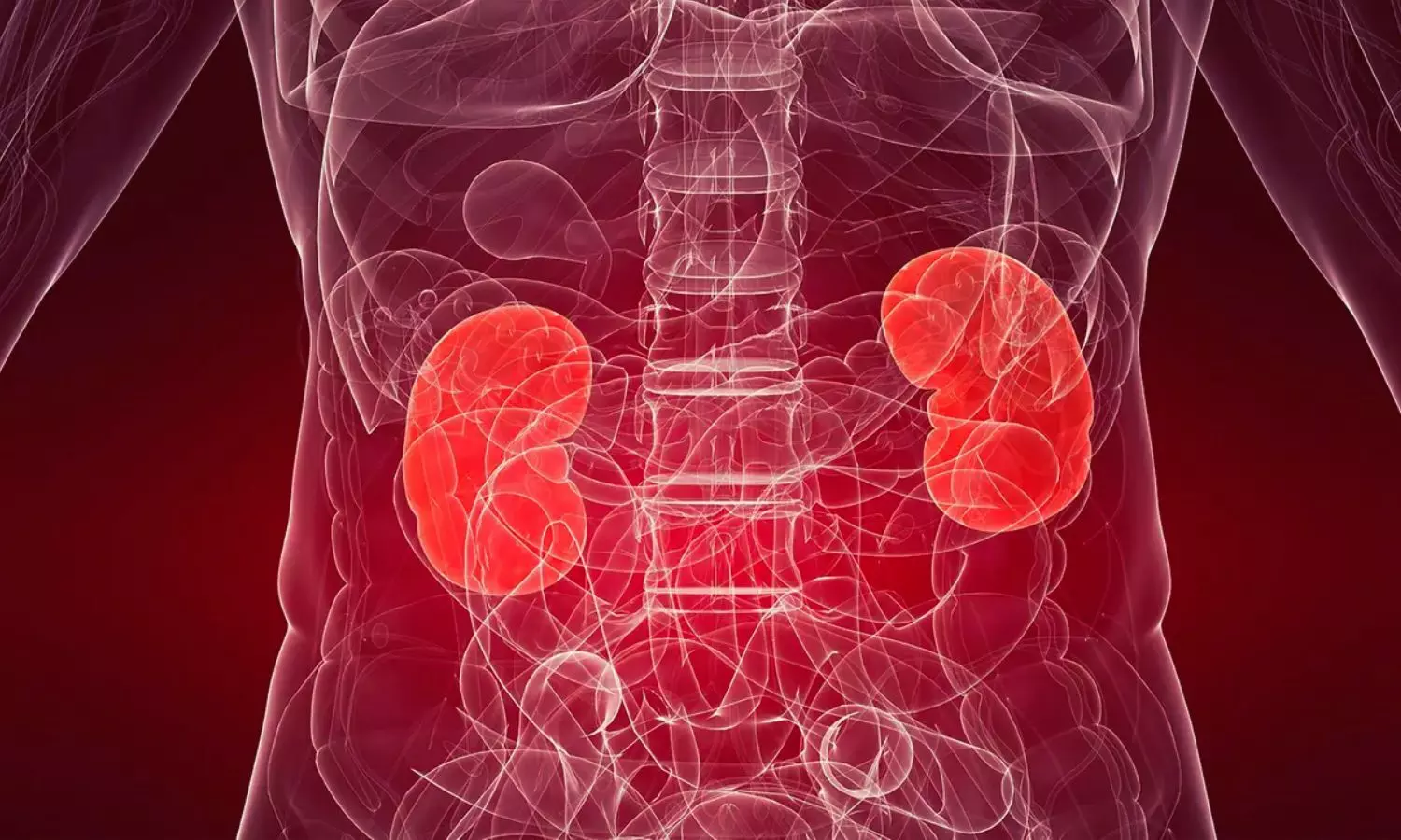 Read more about the article TIPS in Decompensated Cirrhosis Patients Linked to Acute Kidney Injury: Study