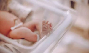 Read more about the article Unmasking Preterm Birth Risks: Role of Cervicovaginal Microbiota and Cervical Shortening, study finds