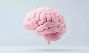 Read more about the article High-dose antibiotic does not reduce mortality in tuberculous meningitis: Study