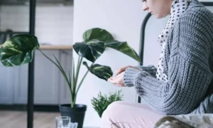 Read more about the article Correlation between cancer cachexia and immune-related adverse events in HCC: Study