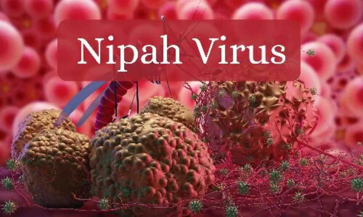 Read more about the article Nipah Virus Remains a Serious Public Health Threat as India Reports New Cases