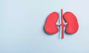 Read more about the article MAJESTY Phase 3 Trial: Obinutuzumab shows positive efficacy and safety outcomes in Primary Membranous Nephropathy