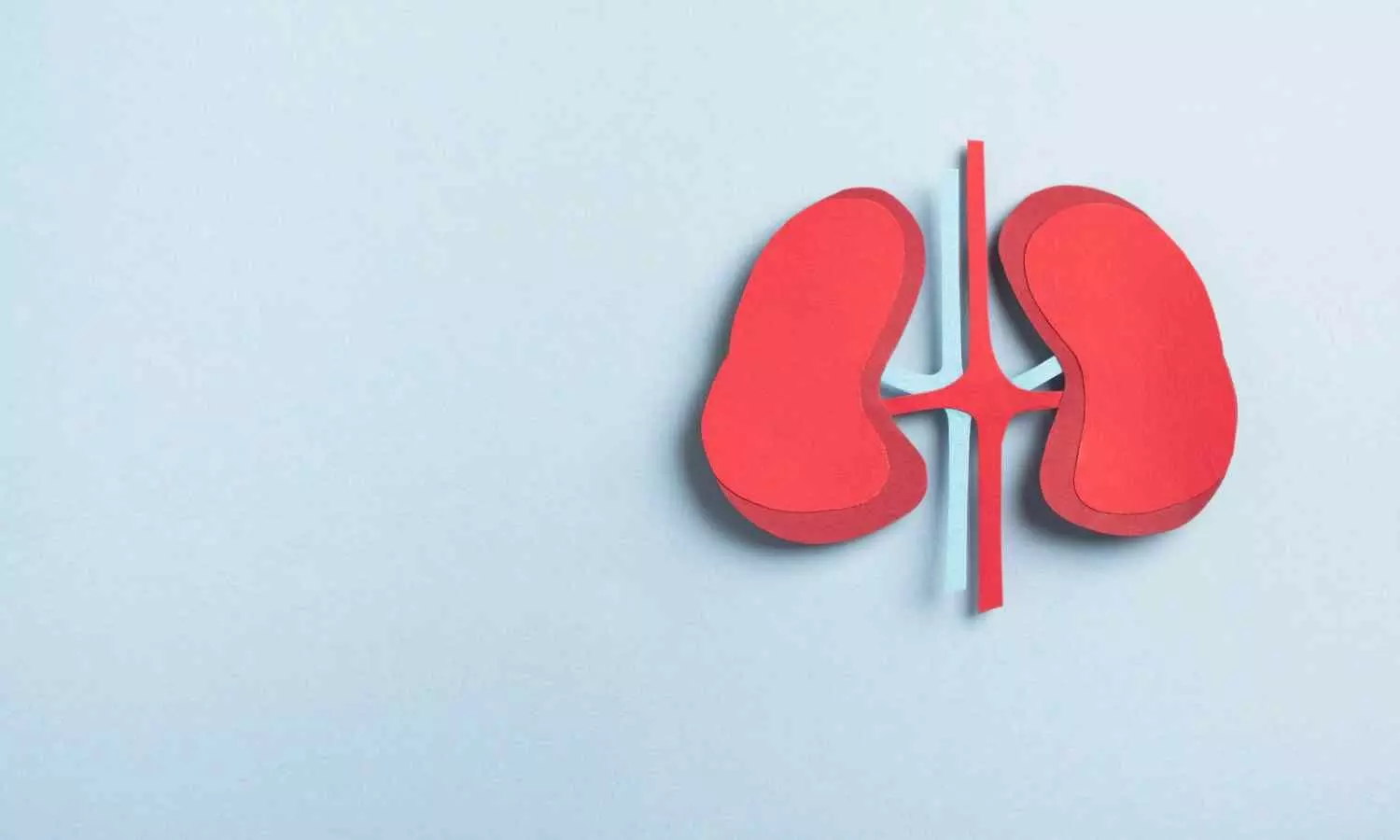 You are currently viewing MAJESTY Phase 3 Trial: Obinutuzumab shows positive efficacy and safety outcomes in Primary Membranous Nephropathy