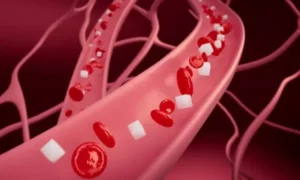 Read more about the article Why do people living at high altitudes have better glucose control? The answer was in plain sight