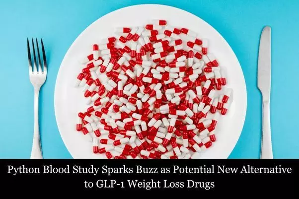 You are currently viewing Python Blood Study Sparks Buzz as Potential Alternative to GLP-1 Weight Loss Drugs