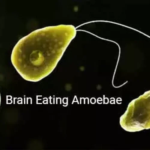 Kerala on alert after rare brain-eating amoeba kills 9-year-old girl