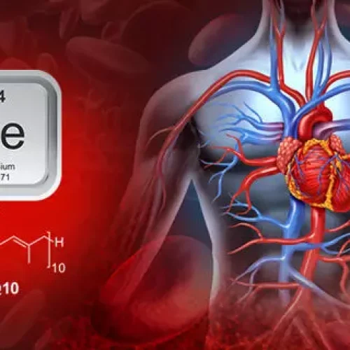 Higher Dietary Selenium Intake Linked to Reduced Cardiovascular Disease Risk: Study