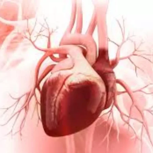 STEMI patients with cytomegalovirus have reduced left ventricular function: AHA