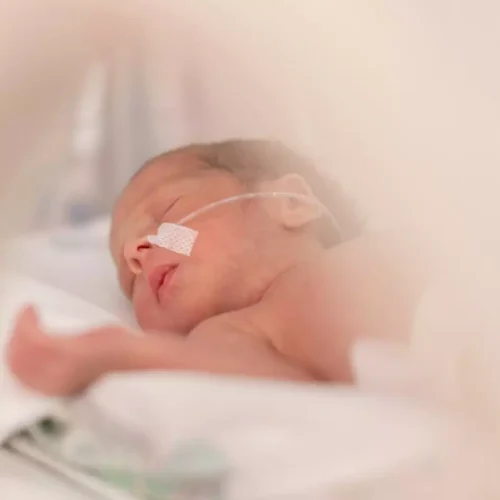 Redefining Preterm Birth Prediction: Study Discovering the Power of Small RNAs