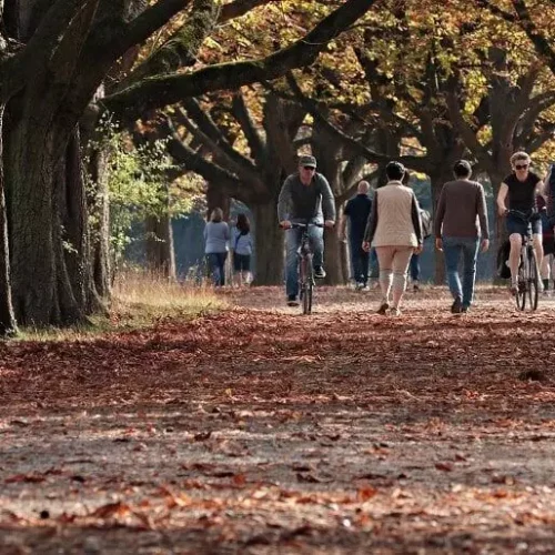 Greener Environments Linked to Healthier BMI in Children: JAMA