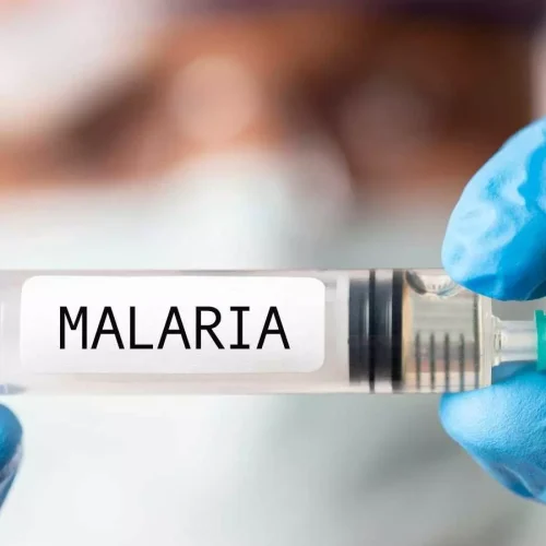 New Malaria Vaccine Candidate Blocks Parasite Transmission, Study Shows