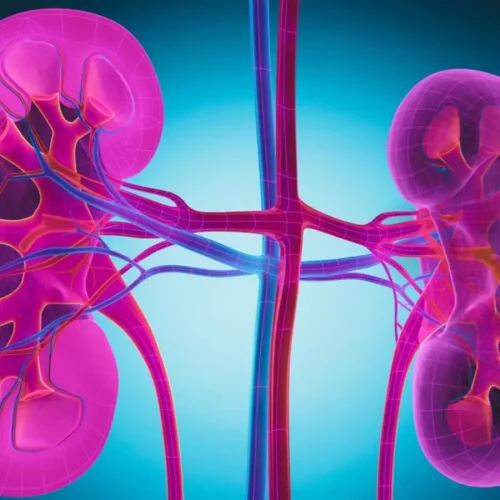FDA Approves  Obinutuzumab for Active Lupus Nephritis