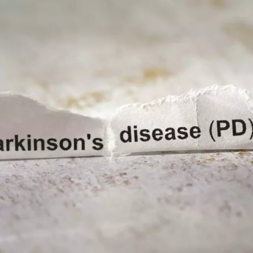 No Evidence That Appendix Removal Influences Parkinson’s Disease Development: Meta-Analysis