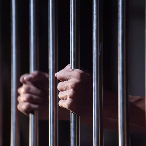 Bhopal Pharmacy Owner Gets 3-Year Jail Sentence for Running Store Without Pharmacist