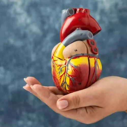 Prepregnancy cardiovascular risk factor clusters increased the risk of stillbirth: JAHA