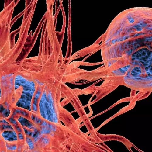 Scientists create LED light that kills cancer cells without harming healthy ones