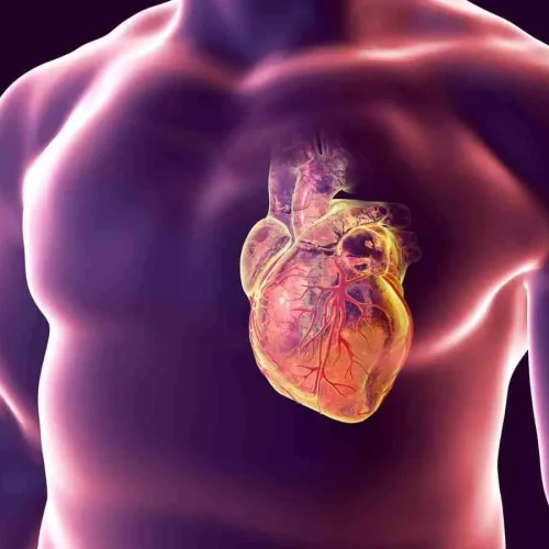 With help from AI, eye images offer window into cardiovascular risk: Study