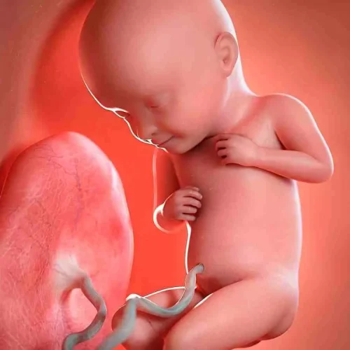 Decoding Doppler: How Fetal Heart Monitoring Shapes Perinatal Health?
