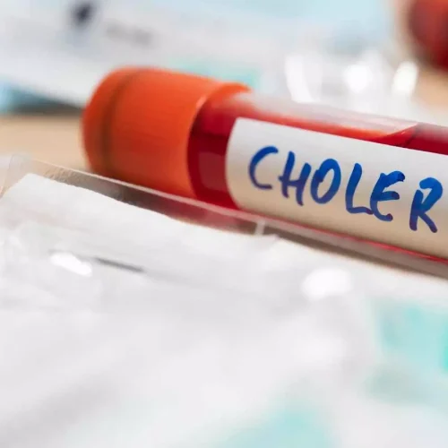 A high-protein diet can defeat cholera infection, claims research