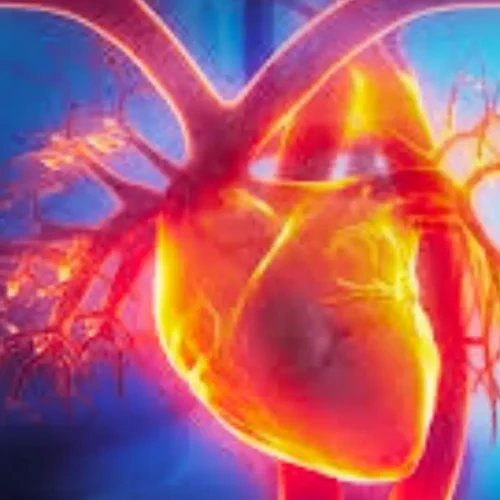 Cardiac MRI Workflow Improves Prediction of Sudden Cardiac Death in Dilated Cardiomyopathy: Study Shows