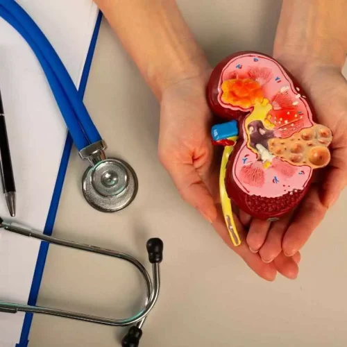 Stem cells may offer new hope for end-stage kidney disease treatment, suggests research