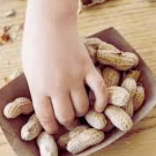 Sex Influences Quality-of-Life Outcomes in Peanut Oral Immunotherapy: Study