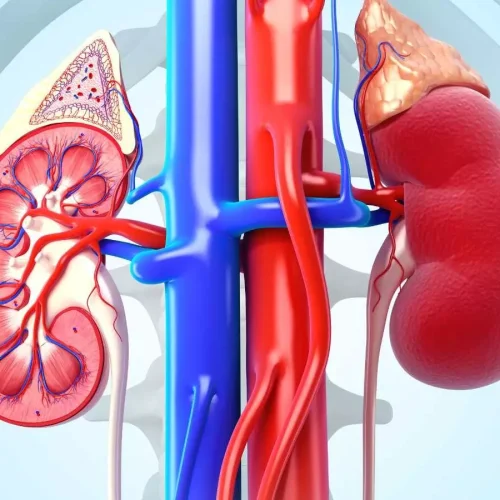 Family History Raises CKD Progression Risk Despite APOL1 Status, CRIC Study Finds