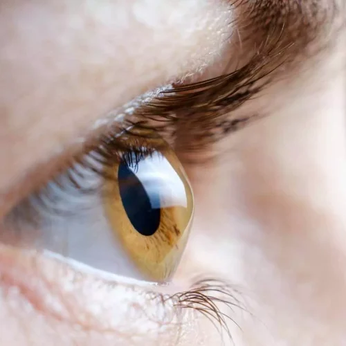 Evidence gaps remain for AI eye imaging devices approved for patient care