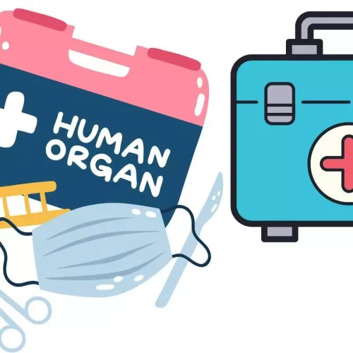 Telangana to expand organ transplant services at Govt Hospitals