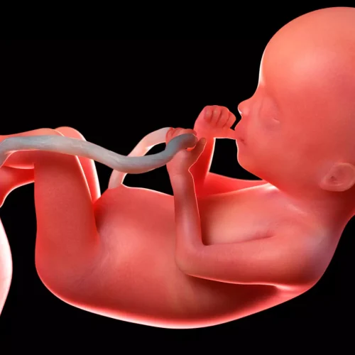 Elevated Placental Resistance Linked to Childhood Growth Issues: JAMA