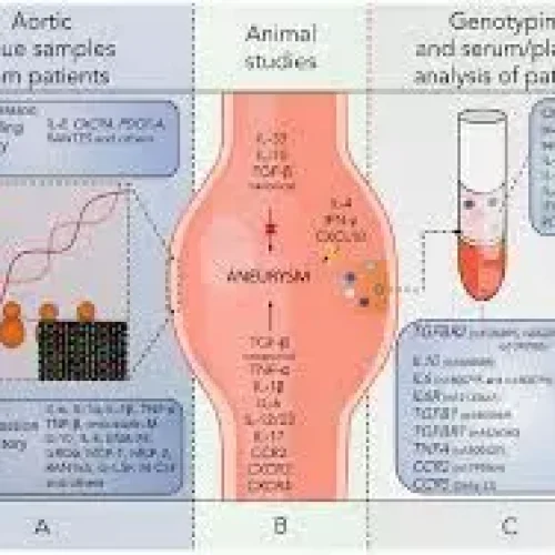 CCR2 Identified as Promising Biomarker for AAA-Associated Aortic Disease: Study